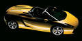 Gallardo.jpg