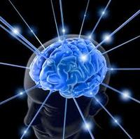 brain-1.jpg brain-1.jpg