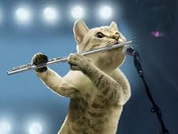 jazzcat-1.jpg jazzcat-1.jpg